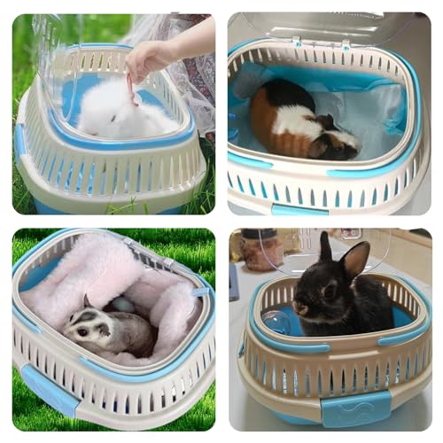 Hamster Carrier Portable Guinea Pig Carrier 13 X 11 X 8 in (Blue)