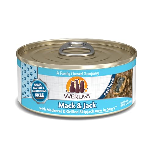 Classic Cat Food (5.5 Ounce (Pack of 24))