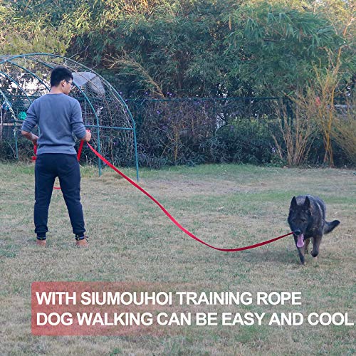 Dog Puppy Obedience Recall Training Agility Lead (Orange / 15 Feet)