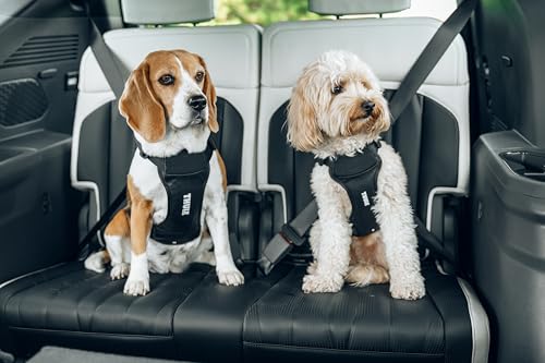 Cappy Dog Harness M (Medium)