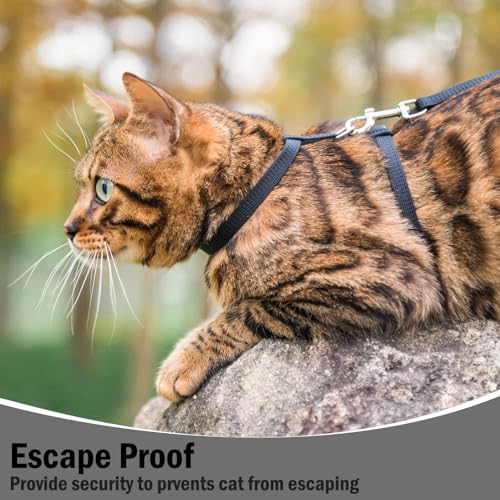Adjustable Cat Harness and Leash Set Escape Proof Kitten Strap Collar for Walking Travel (Small / Black)