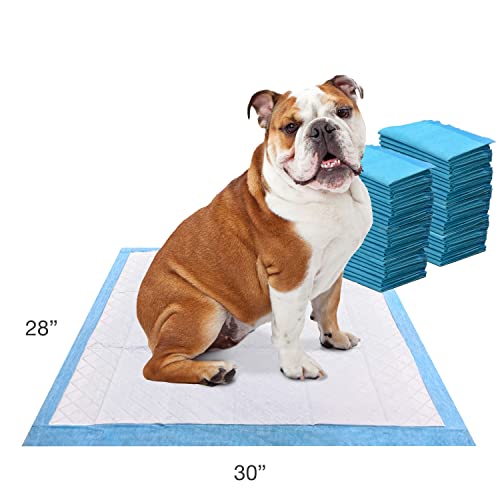 Wee Wee Odor Control with Febreze Freshness Pee Pads for Dogs & Puppies (50 Count)
