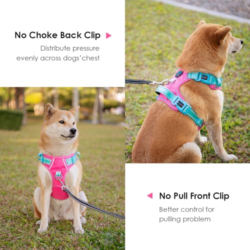 No Pull Dog Harness (Pink Base & Green Straps / Extra Large)