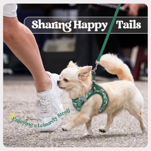 Dog Harness Small Sized and Leash Set (Rainforest Green / S (chest: 15.1 - 16.5"))