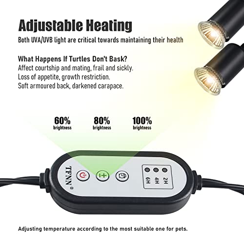 Reptile Heat Lamp