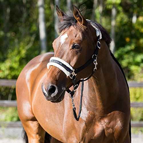 Howard Soft Fleece Horse Halter (Pony / Black)