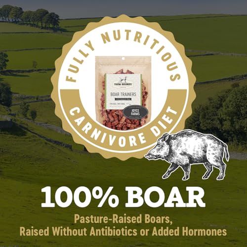 Boar Trainers (4.5 Ounce (Pack of 2))