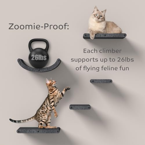 Cat Wall Shelf (Charcoal / 1 Long Cat Climber)