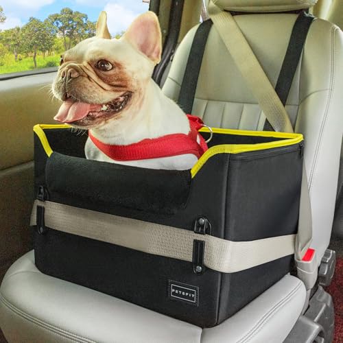 Small Dog Car Seat