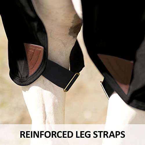 Dura Nylon Horse Stable Sheet (Horse Size 74 / V-Free |Closed Front | Legstrap with Tail / Black)