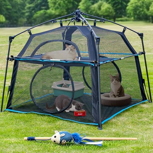 Extra Large Catio Outdoor Cat Enclosure 2 (Blue Trim / Two layer)