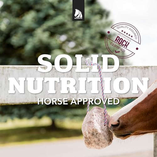 Rock on a Rope Unrefined Salt Rock for Horses; 3 to 5 lbs (1 Count (Pack of 1))