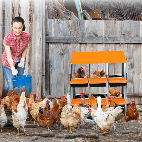 Chicken Nesting Boxes (35.4"L x 17.5"W x 9.3"H / Orange)