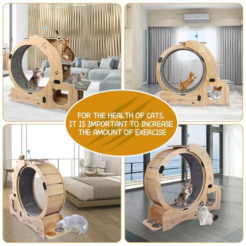 Cat Wheel 6 in