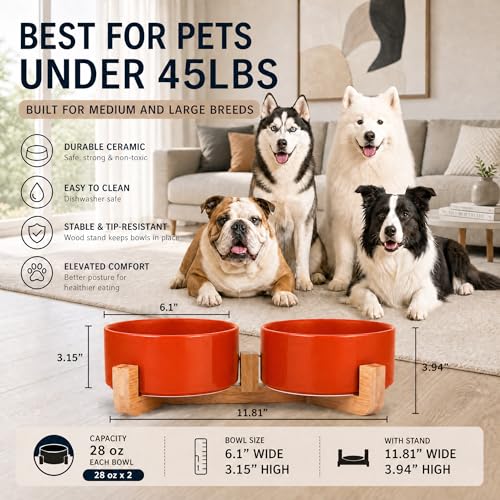 Ceramic Cat Dog Bowl Set with Stand (Rust Red / 850ML*2)