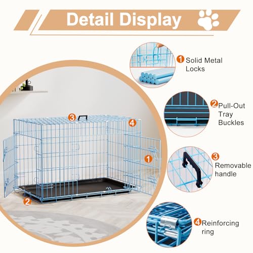 36" Foldable Metal Dog Crate (Blue)