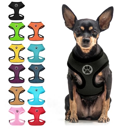 Small Dog Harness (S (NECK: 12", CHEST: 14"-18") / Black)