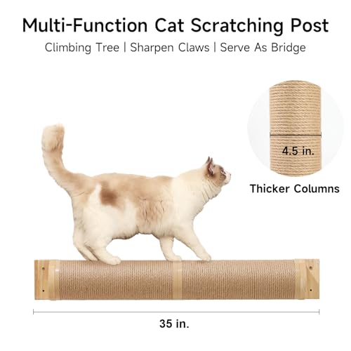 Cat Scratching Post