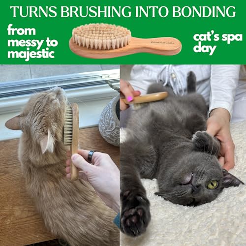 Boar Bristle Soft Cat Brush for Indoor