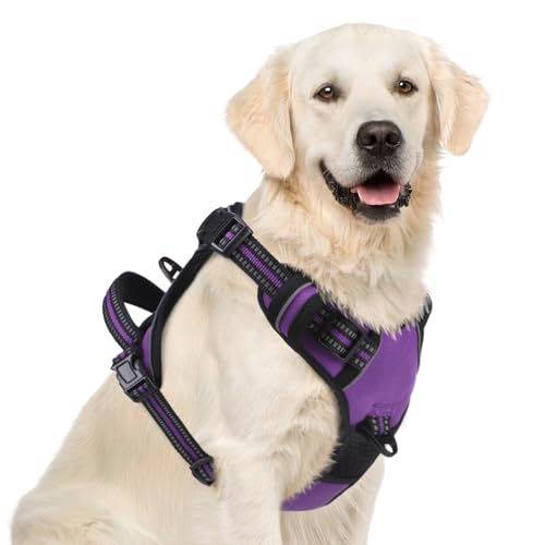 No Pull Dog Harness for Large (Purple / X-Large)