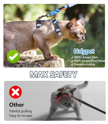 Cat Harness and Leash Set (Hawaii Blue / Medium (8-18 lb))