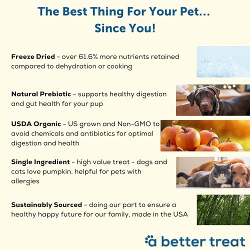 Freeze Dried Organic Pumpkin Dog and Cat Treats (1 Ounce (Pack of 3))