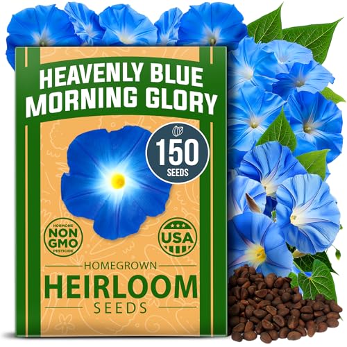 Heavenly Blue Morning Glory Seeds