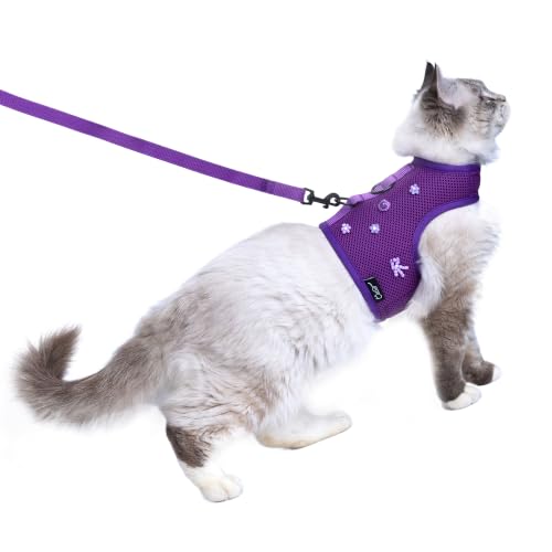 Cat Harness and Leash Set for Walking Escape Proof (Purple / Xs 2-4 lbs)