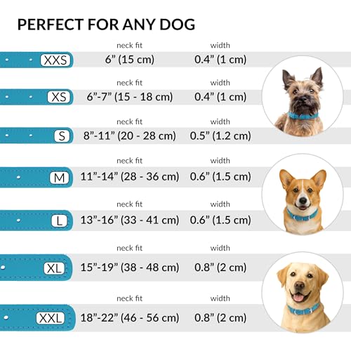 Tangle Free Rolled Leather Dog Collar (Light Blue / XXS)