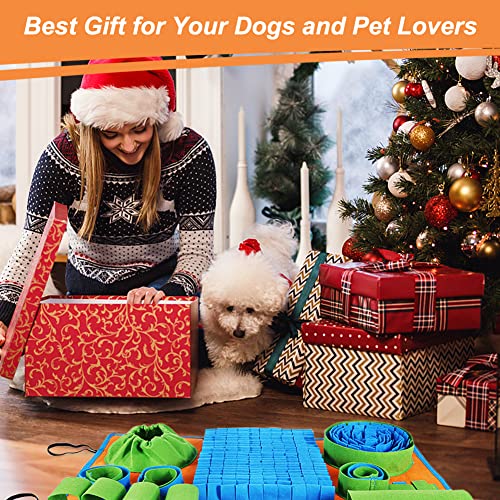 Snuffle Mat for Dogs (Blue Green Orange)