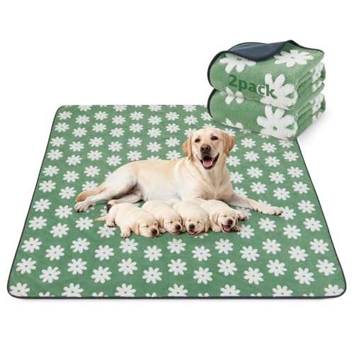Extra Large Whelping Pad (Green Daisy / 48"x48"(Pack of 2))