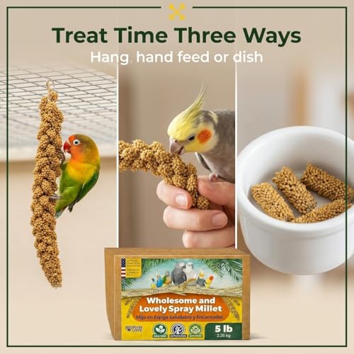 5 LB Wholesome Spray Millet for Birds (5 Pound (Pack of 1))