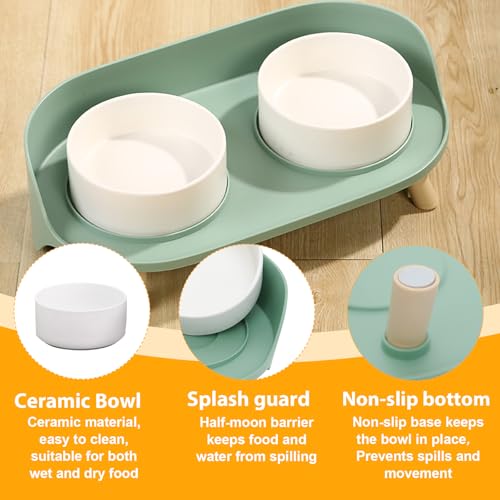 Elevated Dog Bowls Set (Green)