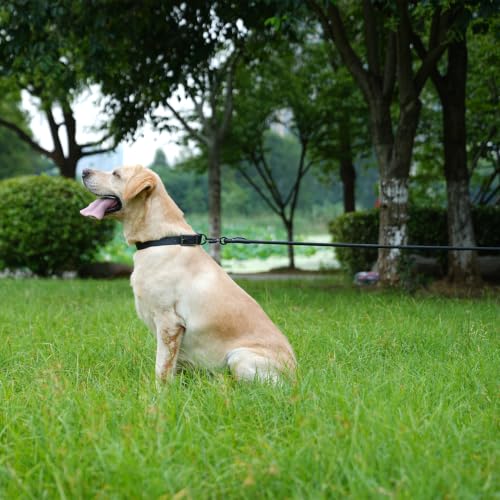 Long Dog Leash (Red / 50FT*0.4" Single Handle)