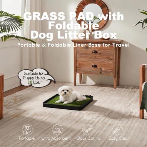 Dog Grass Pad with Dog Litter Box (Small for Dog＜ 19" Length)