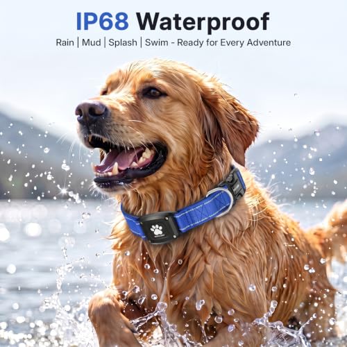 GPS Dog Collar with Tracker (Blue / S(12.5''-16''))