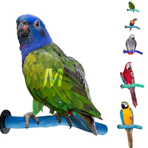Safety Pumice Bird Perch (Blue / Medium 12")