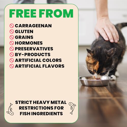 Wet Cat Food HQS Natural Rotational Diet Fish Selection & Chicken Drumstick (2.47 Ounce (Pack of 24))