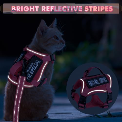 Tactical Cat Harness and Leash (Large / Pink)