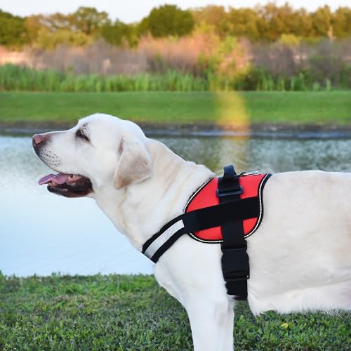 Dog Harness Reflective No (Red / Girth 27" to 34")