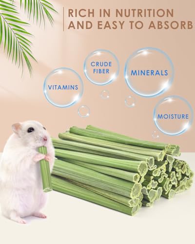 50PCS Rabbit Chew Sticks (50 PCS)
