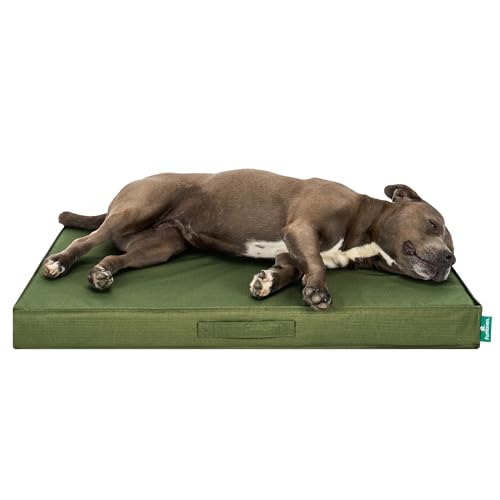 Cooling Dog Bed (Large / Green)