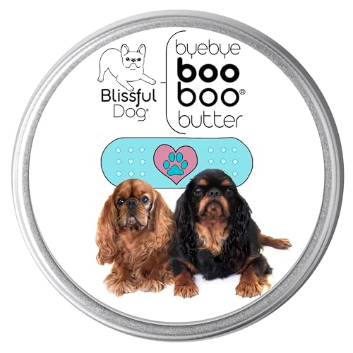 English Toy Spaniel Boo Boo Butter (2 Ounce / English Toy Spaniel)