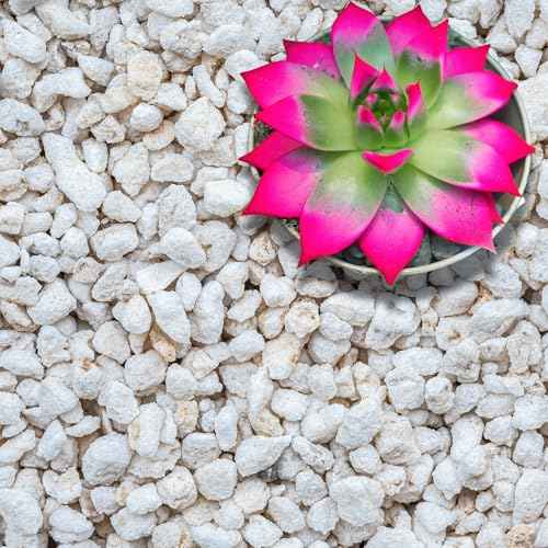 Perlite for Plants (Extra-Coarse Perlite (Grade 4) / 15 quarts)