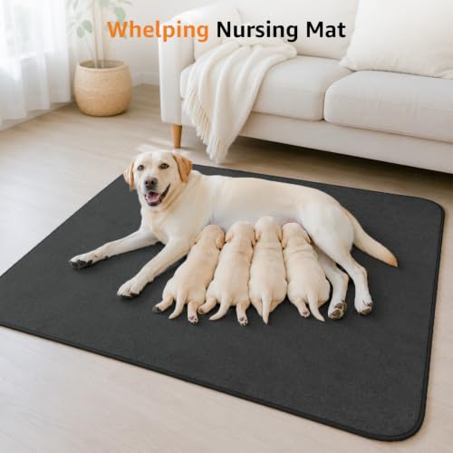 Washable Pee Pads for Dogs (52"*82" Gray)