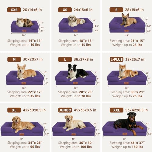 Waterproof Orthopedic Dog Bed for Medium Size Dog (30.0"L x 20.0"W x 7.0"Th / Deep Purple)