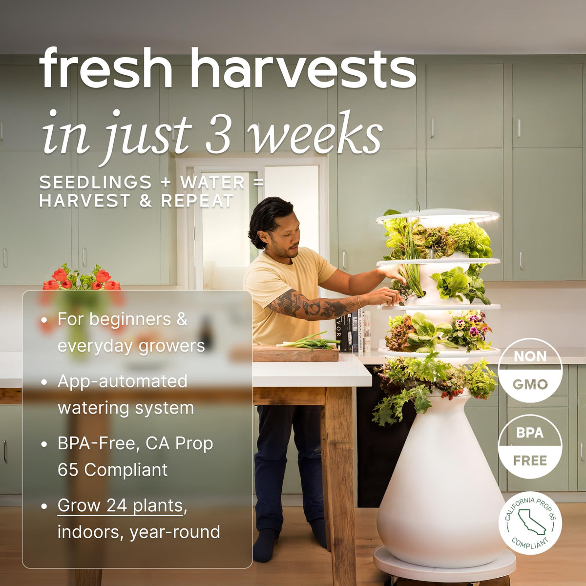 Farmstand Indoor Starter Kit (24 Seedlings / Indoor With Seedlings)