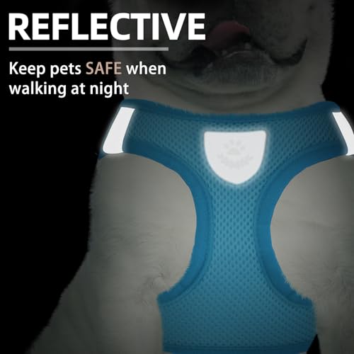Dog Harness Collar and Leash Set No Pull for Small Medium Sized (Solid LightBlue / S (CHEST 14.5"-16"))