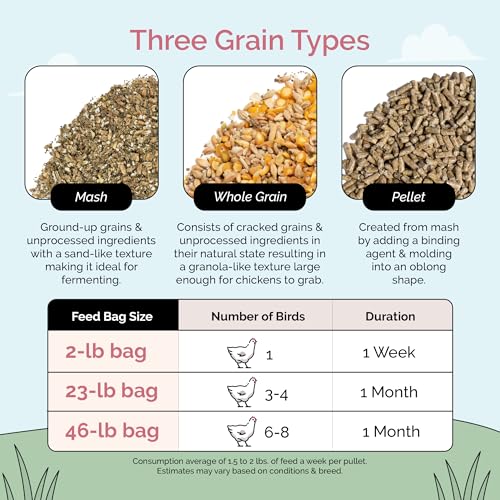 Organic Chicken Feed (Whole Grain / 2 Pound (Pack of 1))