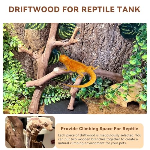 2PCS Reptile Wood Branches Decor (2Pcs 12in Reptile Wood Branches)